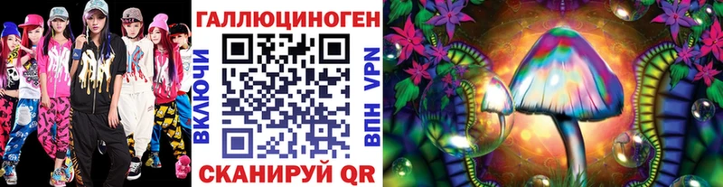 купить закладку  Юрьев-Польский  Псилоцибиновые грибы прущие грибы 
