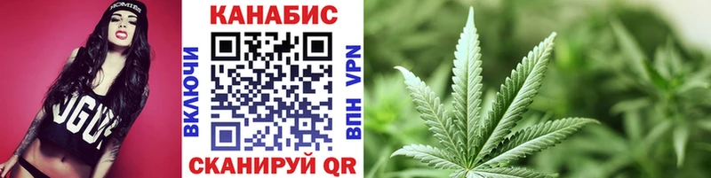 Каннабис планчик  купить закладку  Юрьев-Польский 